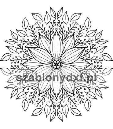 Mandala Indyjska64
