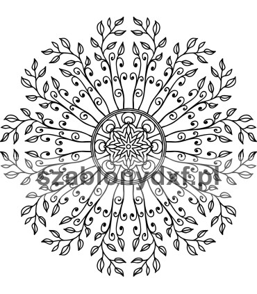 Mandala Indyjska81