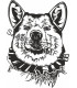 Akita I