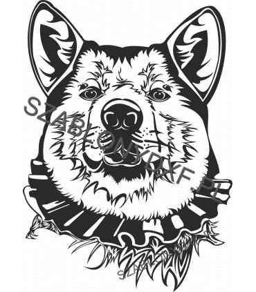 Akita I