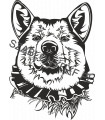 Akita I