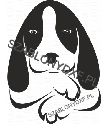 Basset I