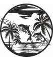 Dolphin II
