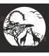 Giraffe I