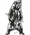 Bear I