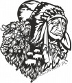 Buffalo II