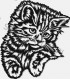 Cat I