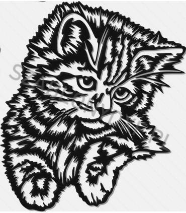 Cat I