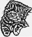 Cat I