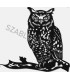 Owl I