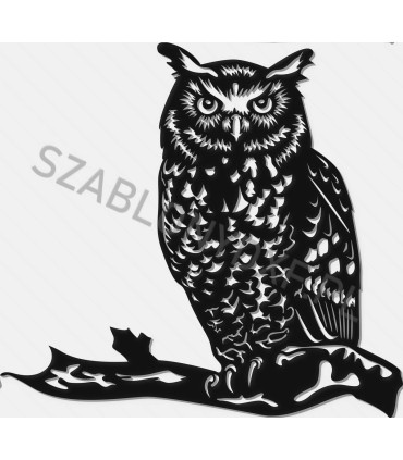 Owl I