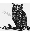 Owl I
